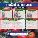 Vand rasad rosii ardei vinete castraveti varza  rasaduri legume 2026